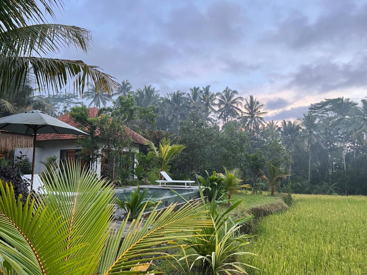 הוילה Payangan Uma Mupu Retreat מראה חיצוני תמונה