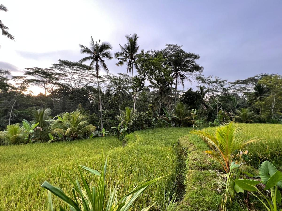 הוילה Payangan Uma Mupu Retreat מראה חיצוני תמונה