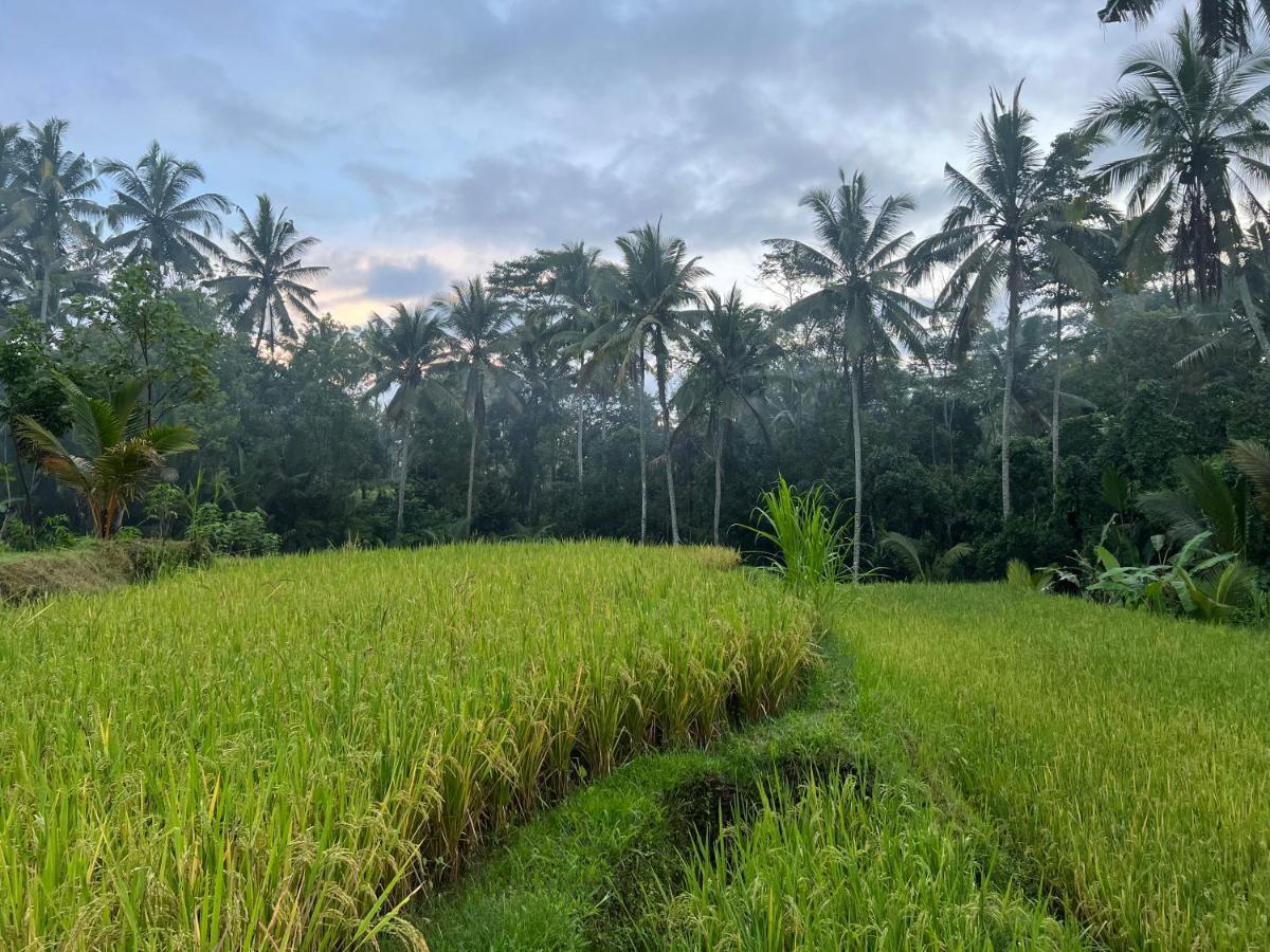הוילה Payangan Uma Mupu Retreat מראה חיצוני תמונה